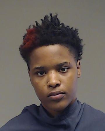 Johnson, Samantha Renee booking photo
