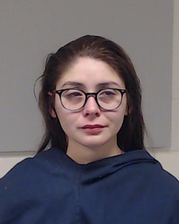 Castillo, Isabel Evangelina booking photo