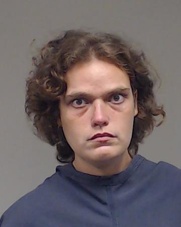 Hendrickson, Cheyenna Dawn booking photo