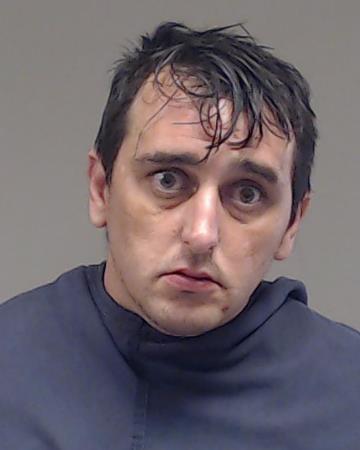 Rollyson, Ray Wayne booking photo