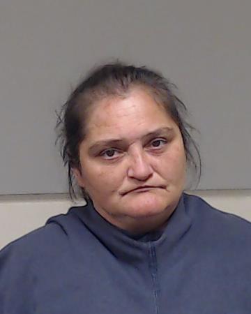 Ajenifuja, Mitzi Lynn booking photo