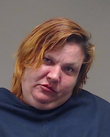 Irvan, Elizabeth booking photo