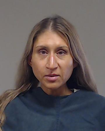 Williamson, Leslie Ann booking photo