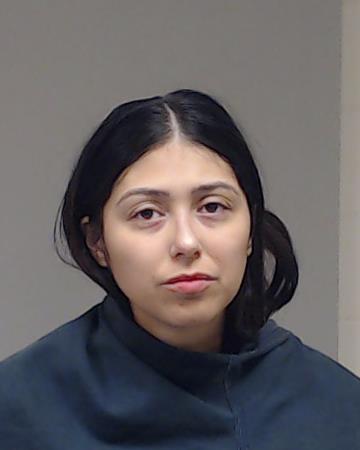 Owens, Laura Dolores arrested by Collin County SO/PD