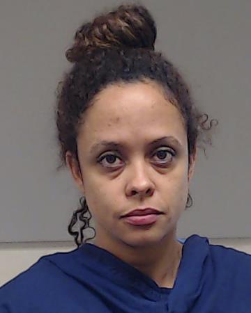 Sanchez-Vazquez, Yaniset arrested by Collin County SO/PD