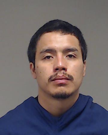 Paulin, Luis Alberto booking photo