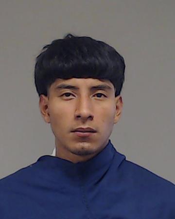 Sales, Anderson booking photo