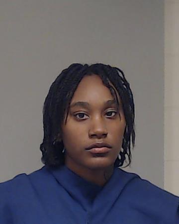 JAMES, KRISLYNN S arrested by Collin County SO/PD