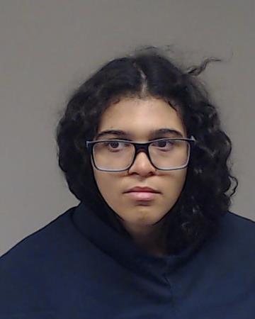 Harrison, Catherine booking photo