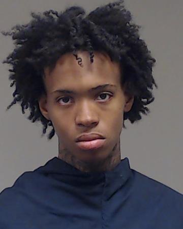 HARPS, JON DEMARCO booking photo