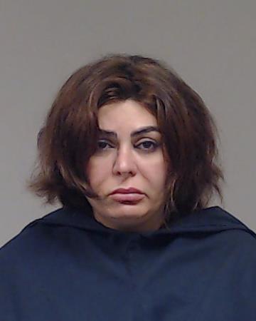 Karimi, Saba booking photo