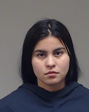 Castro Rincon, Eyerlin Michelle booking photo