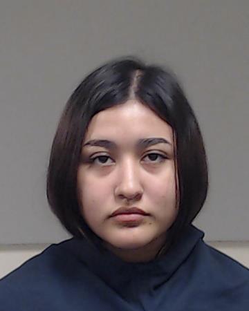 HERNANDEZ-CASTRO, ROXANNA booking photo