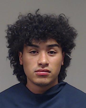 Luna Rosas, Adan booking photo