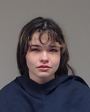 Ray, Robin Lee booking photo