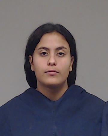 Ojeda-Zureta, Patricia Paola booking photo