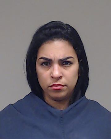 Zaldivar-Mustelier, Sallys booking photo