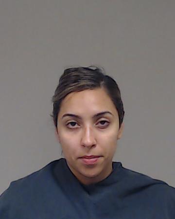 Meza, Alma Delia booking photo