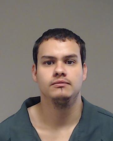 Cok Gonzalez, Rodner booking photo