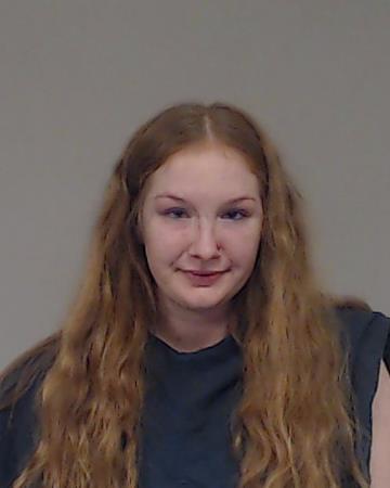 Austin, Chandler Ann booking photo