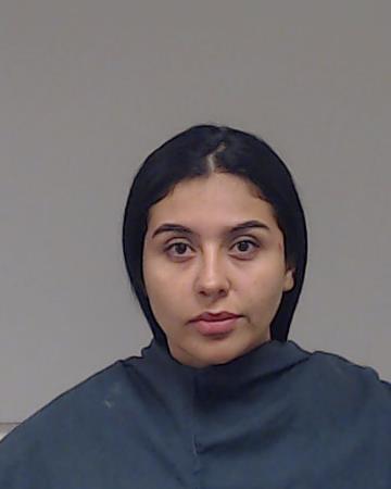 Abello-Ruiz, Adrianna Lucia booking photo