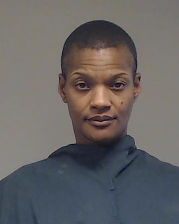 James, Kari Elizabeth booking photo