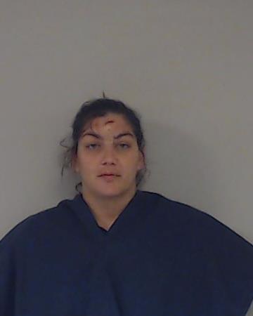 Cantelmo, Toni Lynne booking photo