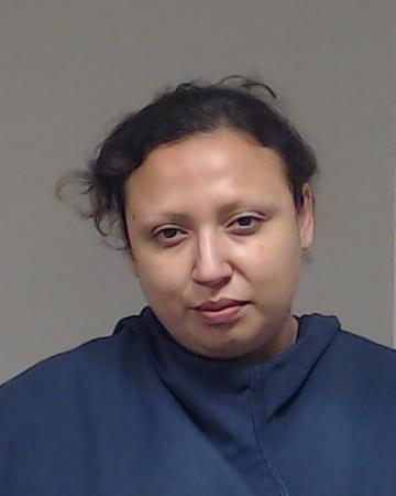 RAMIREZ, HILDA ESPERANZA booking photo