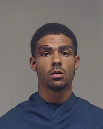 Organ, Arthur Lee arrested by Plano Police Department