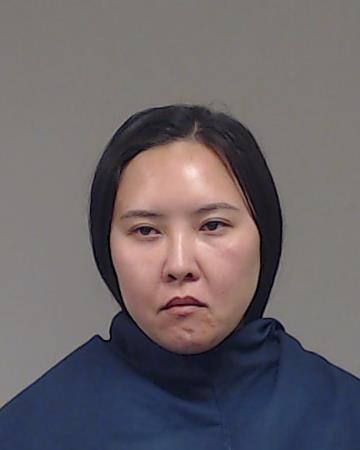 Li, Jing arrested by Plano Police Department