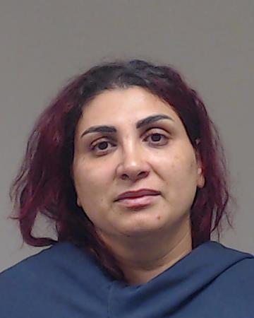 Dinca, Daniela booking photo