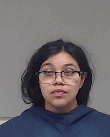 LIMON, VALERIE ALYSSA booking photo