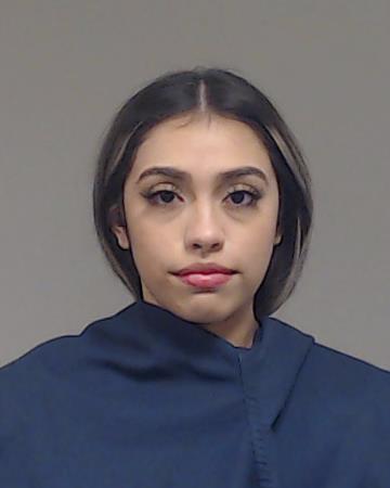 Saldana, Lesley booking photo