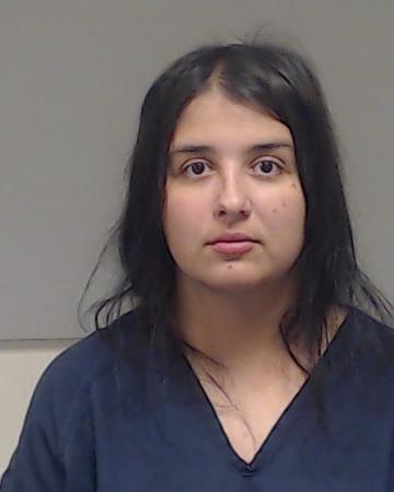 Ciuciu, Denise Nicoleta booking photo