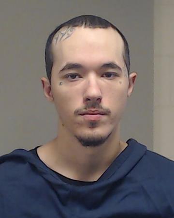 MICHANL, DERIAN GENE booking photo