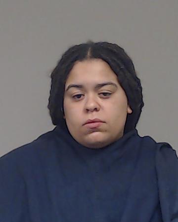 Michel, Dominique Lafaye booking photo