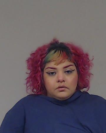 Mireles, Leslie Janae booking photo