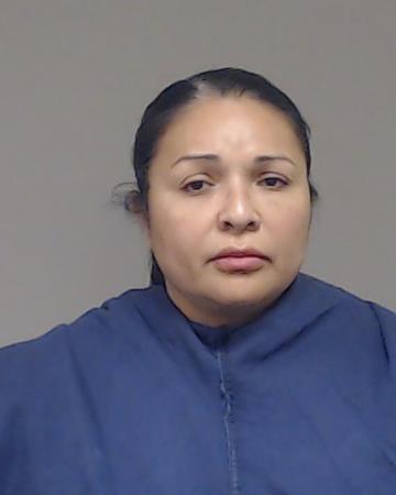 Holguin, Yvonne booking photo