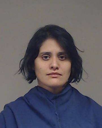 VALDEZ, PAOLA LIZAOLA booking photo