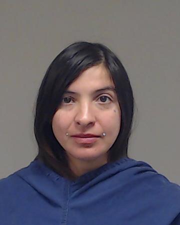Limon, Priscilla Patricia booking photo