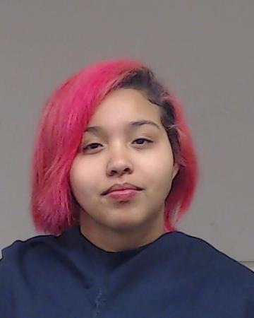 SALLIE, KIMREE BRENAE booking photo