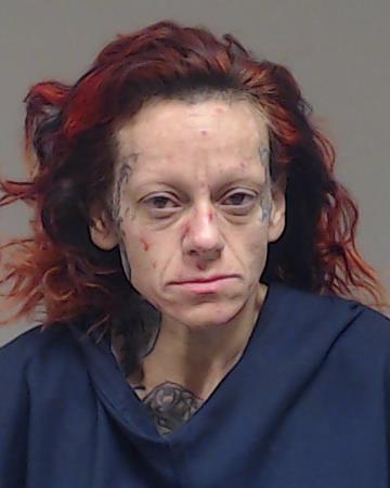 Ramirez, Shastell Fayme booking photo