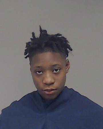 Bean, Jamie Christina booking photo