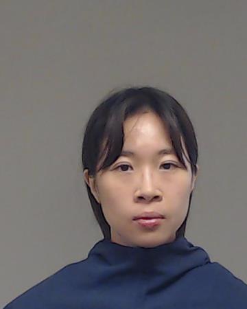CHANG-CHIEN, TING YIN booking photo