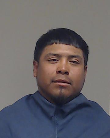 Luna-Pichardo, Anselmo booking photo