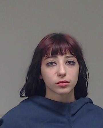 Castro, Elizabeth Marre booking photo