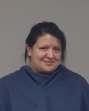 Gamboa, Adrianna Elizabeth booking photo