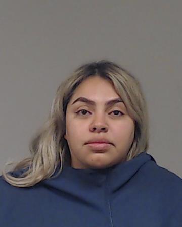 Perez, Michelle Cecilia booking photo