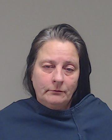 Goodwin, Holly Ann booking photo