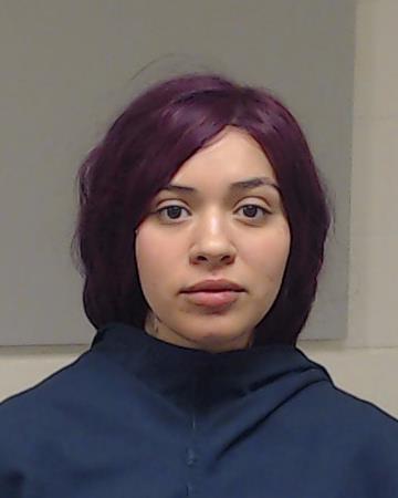 Smith, Lizeth R booking photo